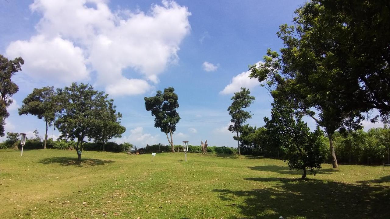 Seri Dusun Sepang Homestay & Event Space Zewnętrze zdjęcie
